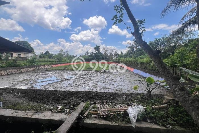 Dijual Tanah di Narmada Lombok Barat Luas 1400m2 SHM Dijual Tanah di Narmada Lombok Barat Luas 1400m2 SHM