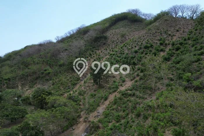 Tanah Kavling untuk Dijual di Sekotong Lombok Barat 40000m2 Tanah Kavling untuk Dijual di Sekotong Lombok Barat 40000m2