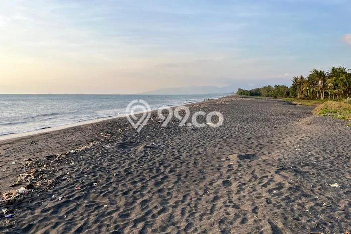 Tanah untuk Dijual di Labu Api Lombok Barat Luas 2000m2 Tanah untuk Dijual di Labu Api Lombok Barat Luas 2000m2