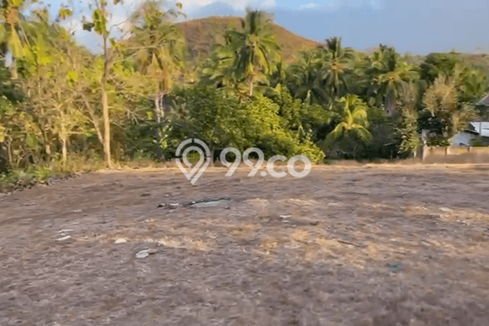 Tanah Lokasi Potensial Kawasan Sekotong, Luas 28000m², Dekat ke Pusat Kota, Dekat Sekotong, Lombok Barat, Lombok Barat Tanah Lokasi Potensial Kawasan Sekotong, Luas 28000m², Dekat ke Pusat Kota, Dekat Sekotong, Lombok Barat, Lombok Barat