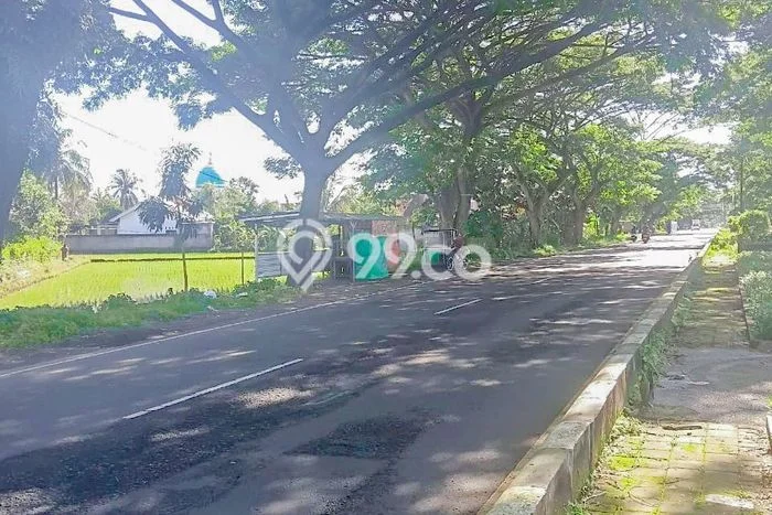 Lahan Kosong Dijual di Kuripan, Lombok Barat, Luas 1901m2 Area Strategis Lahan Kosong Dijual di Kuripan, Lombok Barat, Luas 1901m2 Area Strategis