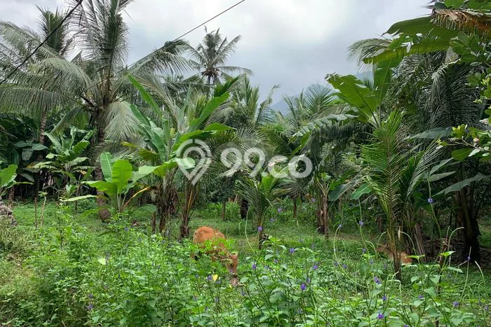 Kavling Tanah untuk Dijual di Senggigi, Lombok Barat, Luas 12737m2 Kavling Tanah untuk Dijual di Senggigi, Lombok Barat, Luas 12737m2