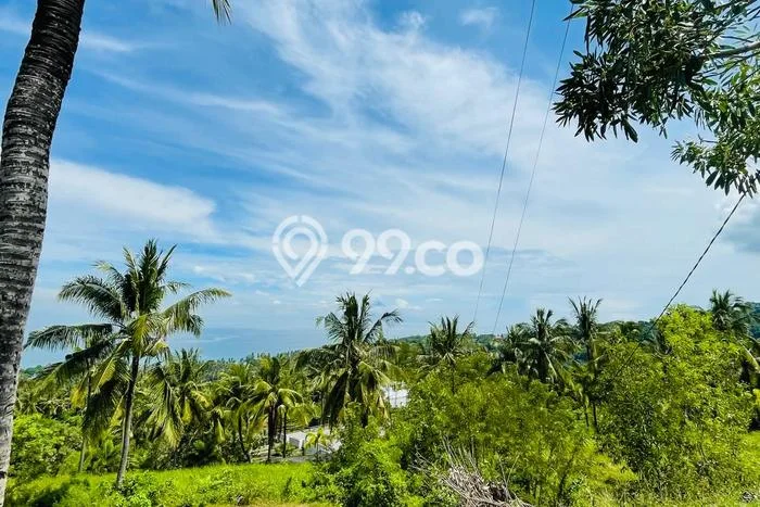 Tanah Dijual Area Strategis di Senggigi Lombok Barat 6000m2 Tanah Dijual Area Strategis di Senggigi Lombok Barat 6000m2