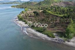 Lahan Dijual Lokasi Sekotong, Lombok Barat dengan Luas Tanah 16000m2 dan Status SHM Lahan Dijual Lokasi Sekotong, Lombok Barat dengan Luas Tanah 16000m2 dan Status SHM