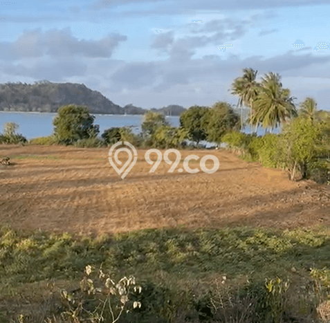 Tanah Lokasi Potensial Kawasan Sekotong, Luas 28000m², Dekat ke Pusat Kota, Dekat Sekotong, Lombok Barat, Lombok Barat Tanah Lokasi Potensial Kawasan Sekotong, Luas 28000m², Dekat ke Pusat Kota, Dekat Sekotong, Lombok Barat, Lombok Barat