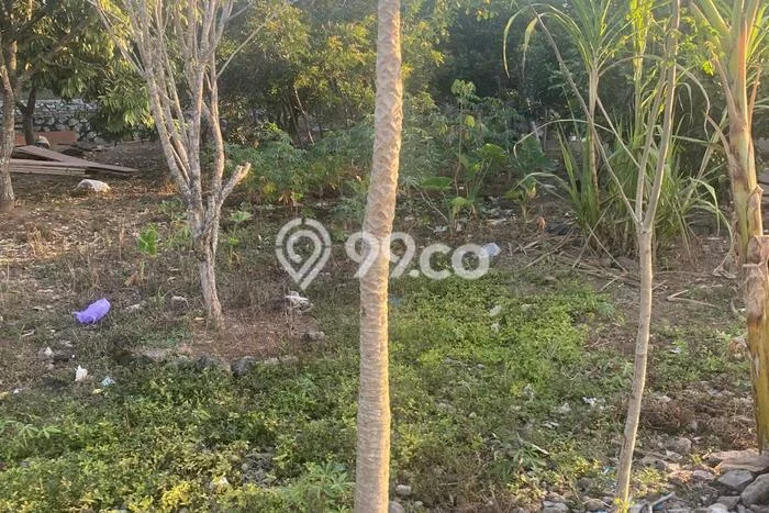 Tanah Kosong Dijual di Lombok Barat dengan Area 4182m2 Tanah Kosong Dijual di Lombok Barat dengan Area 4182m2
