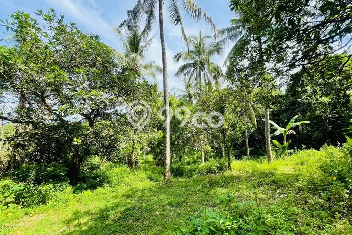 Tanah Kavling Dijual di Senggigi, Lombok Barat dengan Luas Tanah 2500m2 Tanah Kavling Dijual di Senggigi, Lombok Barat dengan Luas Tanah 2500m2