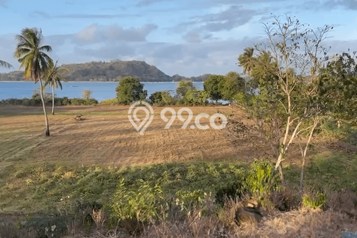 Tanah Lokasi Potensial Kawasan Sekotong, Luas 28000m², Dekat ke Pusat Kota, Dekat Sekotong, Lombok Barat, Lombok Barat Tanah Lokasi Potensial Kawasan Sekotong, Luas 28000m², Dekat ke Pusat Kota, Dekat Sekotong, Lombok Barat, Lombok Barat