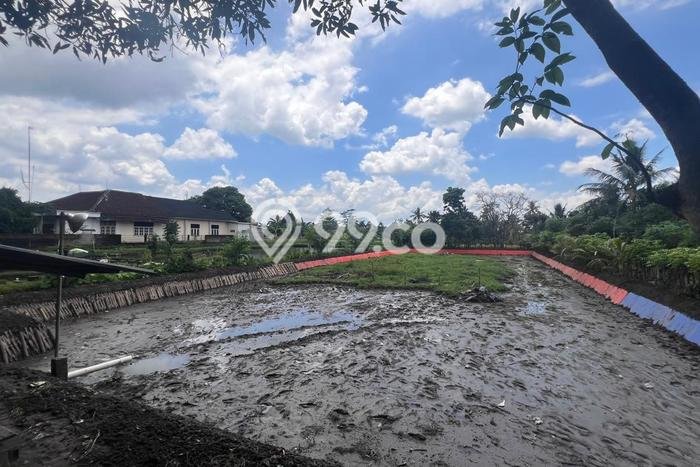 Dijual Tanah di Narmada Lombok Barat Luas 1400m2 SHM Dijual Tanah di Narmada Lombok Barat Luas 1400m2 SHM