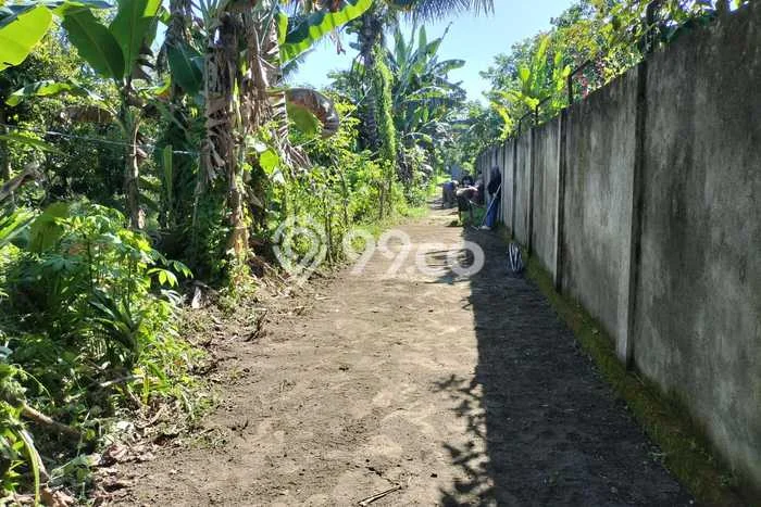 Untuk Dijual Tanah di Lingsar Lombok Barat Luas 1100m2 SHM Untuk Dijual Tanah di Lingsar Lombok Barat Luas 1100m2 SHM