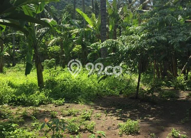 Dijual Tanah 2000m2 di Senggigi, Lombok Barat Dijual Tanah 2000m2 di Senggigi, Lombok Barat