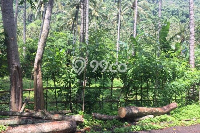 Dijual Tanah 2000m2 di Senggigi, Lombok Barat Dijual Tanah 2000m2 di Senggigi, Lombok Barat