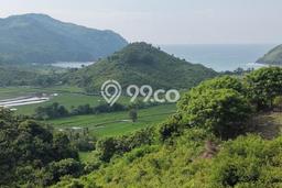 Kavling Tanah Dijual di Pujut Lombok Tengah Spesifikasi 500m2 Kavling Tanah Dijual di Pujut Lombok Tengah Spesifikasi 500m2