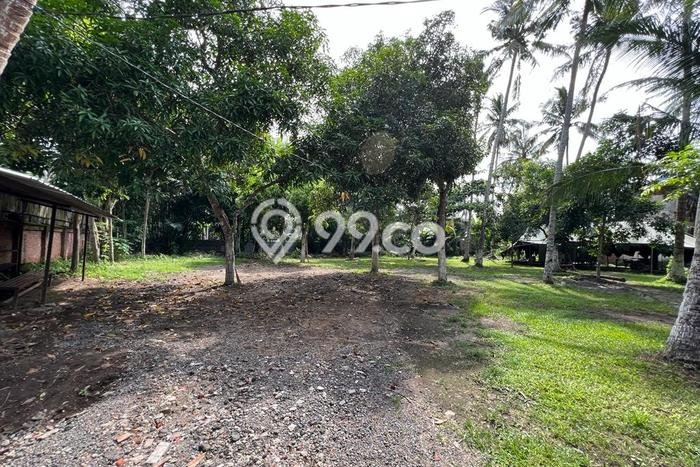Lahan Strategis di Batu Layar Dijual dengan Luas 1000m2 Lahan Strategis di Batu Layar Dijual dengan Luas 1000m2