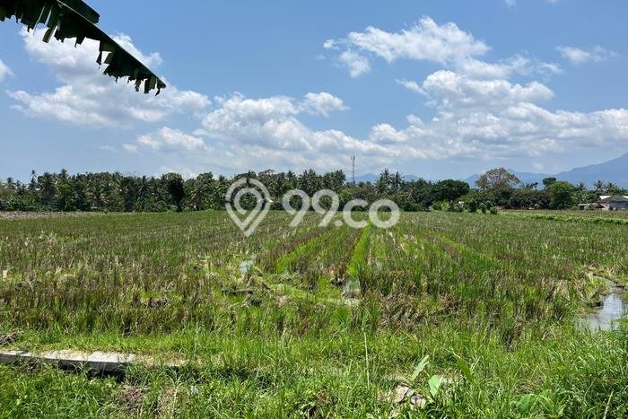 Kavling Tanah Dijual di Narmada Lombok Barat Spesifikasi 7000m2 Kavling Tanah Dijual di Narmada Lombok Barat Spesifikasi 7000m2