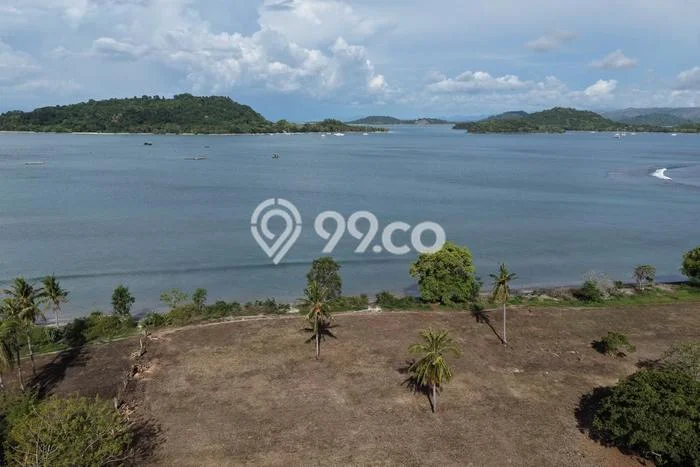 Lahan Dijual Lokasi Sekotong, Lombok Barat dengan Luas Tanah 16000m2 dan Status SHM Lahan Dijual Lokasi Sekotong, Lombok Barat dengan Luas Tanah 16000m2 dan Status SHM