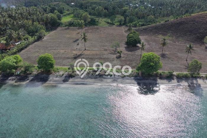 Lahan Dijual Lokasi Sekotong, Lombok Barat dengan Luas Tanah 20000m2 dan Status SHM Lahan Dijual Lokasi Sekotong, Lombok Barat dengan Luas Tanah 20000m2 dan Status SHM