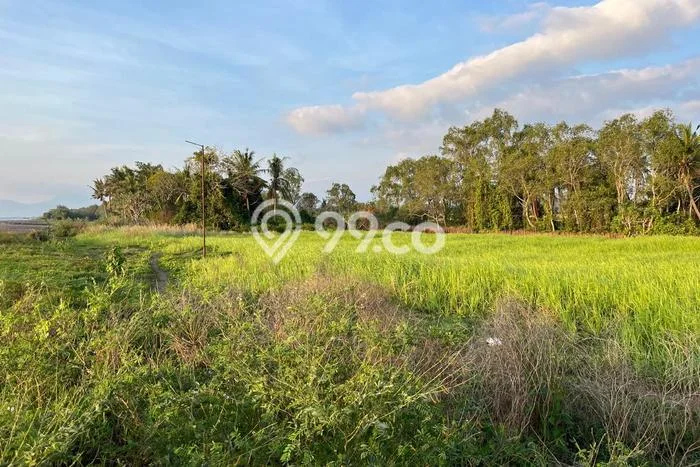 Tanah untuk Dijual di Labu Api Lombok Barat Luas 2000m2 Tanah untuk Dijual di Labu Api Lombok Barat Luas 2000m2