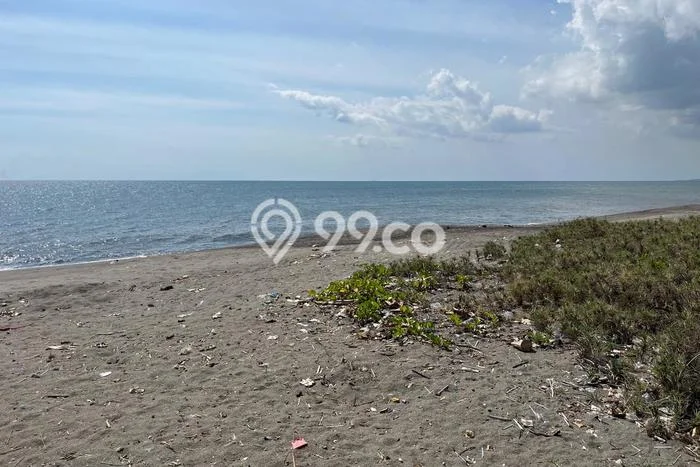 Tanah Dijual Lokasi Labu Api, Lombok Barat Luas 3000m2 Legalitas Aman Tanah Dijual Lokasi Labu Api, Lombok Barat Luas 3000m2 Legalitas Aman