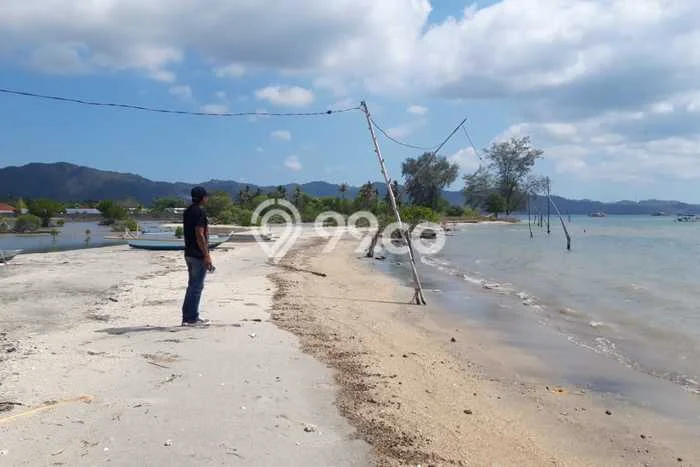 Tanah Strategis Dijual di Sekotong Lombok Barat 10000m2 Tanah Strategis Dijual di Sekotong Lombok Barat 10000m2