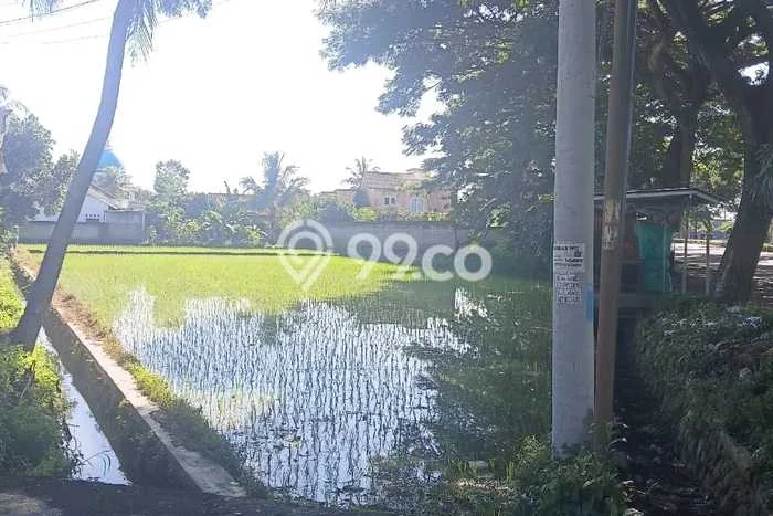 Lahan Kosong Dijual di Kuripan, Lombok Barat, Luas 1901m2 Area Strategis Lahan Kosong Dijual di Kuripan, Lombok Barat, Luas 1901m2 Area Strategis