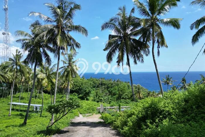 Tanah Dijual di Lombok Barat Seluas 1282m2 Strategis Tanah Dijual di Lombok Barat Seluas 1282m2 Strategis