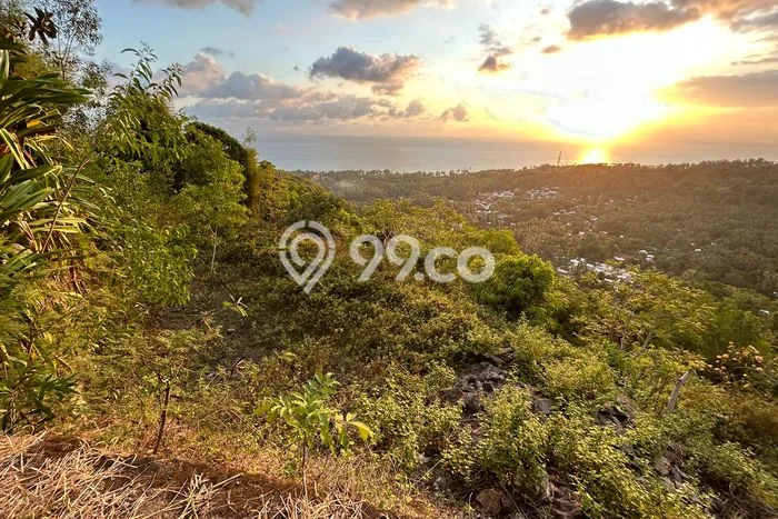 Tanah Kosong Dijual di Lombok Barat dengan Area 777m2 Tanah Kosong Dijual di Lombok Barat dengan Area 777m2