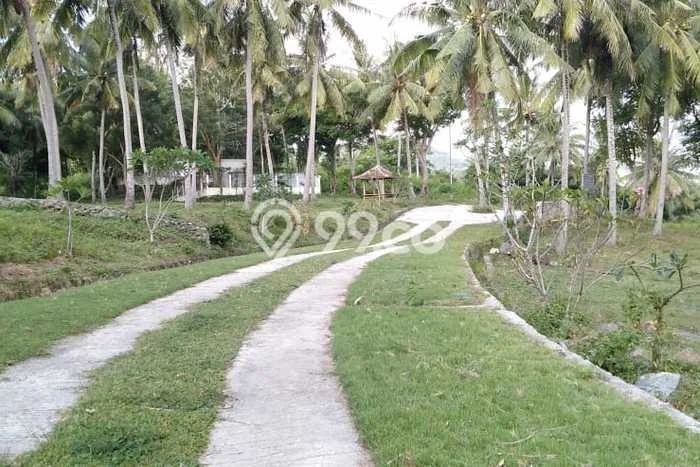 Untuk Dijual Tanah di Lombok Barat, Luas 2400m2 SHM Untuk Dijual Tanah di Lombok Barat, Luas 2400m2 SHM