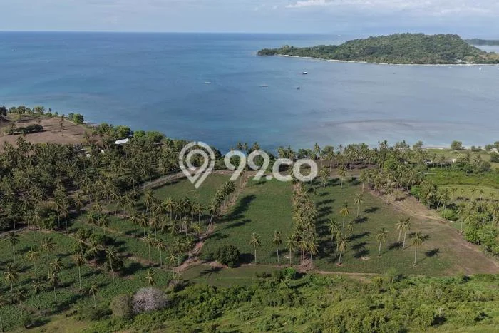 Kavling Tanah Dijual di Sekotong Lombok Barat Spesifikasi 10600m2 Kavling Tanah Dijual di Sekotong Lombok Barat Spesifikasi 10600m2