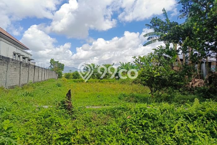 Kavling Tanah Dijual di Narmada Lombok Barat Spesifikasi 2893m2 Kavling Tanah Dijual di Narmada Lombok Barat Spesifikasi 2893m2