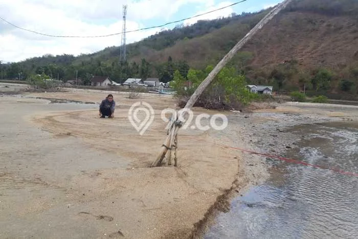 Tanah Strategis Dijual di Sekotong Lombok Barat 10000m2 Tanah Strategis Dijual di Sekotong Lombok Barat 10000m2