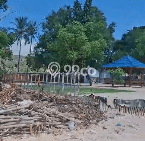 Tanah Kavling untuk Dijual di Sekotong Lombok Barat 1500m2 Tanah Kavling untuk Dijual di Sekotong Lombok Barat 1500m2