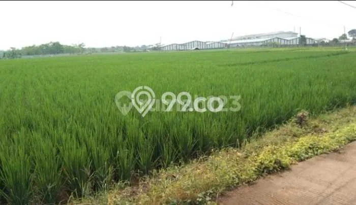 Lahan Kosong Dijual di Cibogo, Subang, Luas 3e+06m2 Area Strategis Lahan Kosong Dijual di Cibogo, Subang, Luas 3e+06m2 Area Strategis
