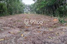 Jarang Ada! Tanah di Rumbai Punya Luas 12500m2 SHM Jarang Ada! Tanah di Rumbai Punya Luas 12500m2 SHM