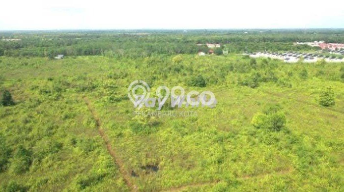 Jarang Ada! Tanah di Tambang Punya Luas 10000m2 SHM Jarang Ada! Tanah di Tambang Punya Luas 10000m2 SHM