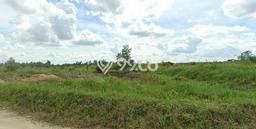 Untuk Dijual Tanah di Tapung Kampar Luas 17200m2 SHM Untuk Dijual Tanah di Tapung Kampar Luas 17200m2 SHM