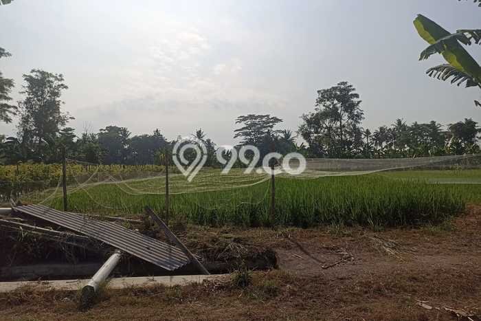 Tanah Kavling di Ngemplak Dijual dengan Luas 506m2 Tanah Kavling di Ngemplak Dijual dengan Luas 506m2