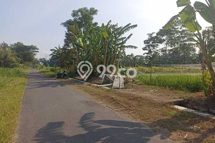 Tanah Kavling di Ngemplak Dijual dengan Luas 506m2 Tanah Kavling di Ngemplak Dijual dengan Luas 506m2