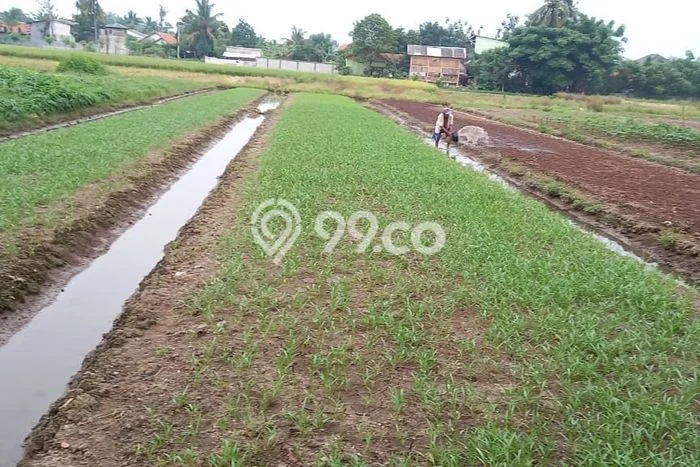 Untuk Dijual Tanah di Sepatan Tangerang Luas 5800m2 SHM Untuk Dijual Tanah di Sepatan Tangerang Luas 5800m2 SHM