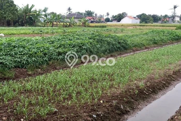 Untuk Dijual Tanah di Sepatan Tangerang Luas 5800m2 SHM Untuk Dijual Tanah di Sepatan Tangerang Luas 5800m2 SHM
