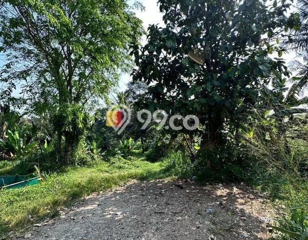 Jual Tanah di Bojong Sari, Luas 5.086e+07m², Dekat Fasilitas Umum Jual Tanah di Bojong Sari, Luas 5.086e+07m², Dekat Fasilitas Umum