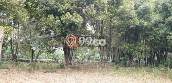 Tanah Kosong Dijual di Sukabumi dengan Area 7061m2 Tanah Kosong Dijual di Sukabumi dengan Area 7061m2