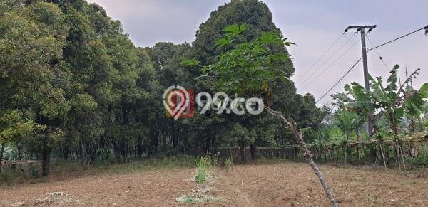 Tanah Kosong Dijual di Sukabumi dengan Area 7061m2 Tanah Kosong Dijual di Sukabumi dengan Area 7061m2