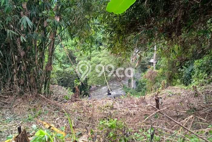 Dijual Tanah Lokasi Lodtunduh, Gianyar Seluas 1236m2 Dijual Tanah Lokasi Lodtunduh, Gianyar Seluas 1236m2