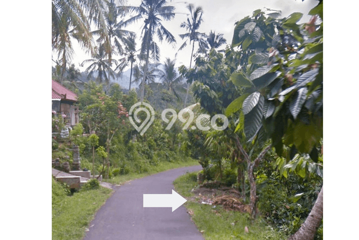 Tanah Dijual Area Strategis di Pohsanten Jembrana 16480m2 Tanah Dijual Area Strategis di Pohsanten Jembrana 16480m2