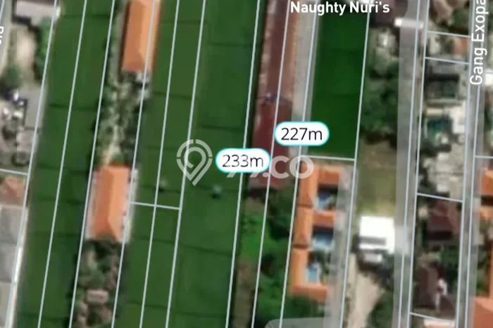 Jarang Ada! Tanah Kavling Disewakan di Badung 3000m2 Jarang Ada! Tanah Kavling Disewakan di Badung 3000m2