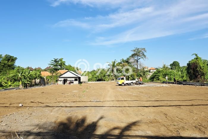 Tanah Disewa di Keramas Strategis dan Memiliki Luas 2500m2 Tanah Disewa di Keramas Strategis dan Memiliki Luas 2500m2