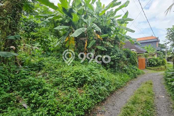Tanah Kavling Dijual di Gianyar dengan Spesifikasi 500m2 Tanah Kavling Dijual di Gianyar dengan Spesifikasi 500m2
