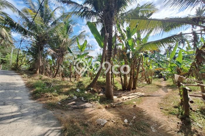 Tanah Kavling Dijual di Gianyar dengan Spesifikasi 1735m2 Tanah Kavling Dijual di Gianyar dengan Spesifikasi 1735m2