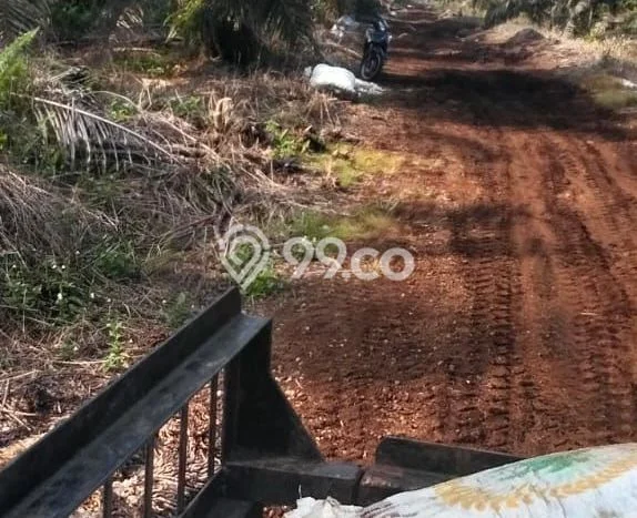 Kavling Tanah Dijual di Bunut Pelalawan Spesifikasi 2.63e+06m2 Kavling Tanah Dijual di Bunut Pelalawan Spesifikasi 2.63e+06m2